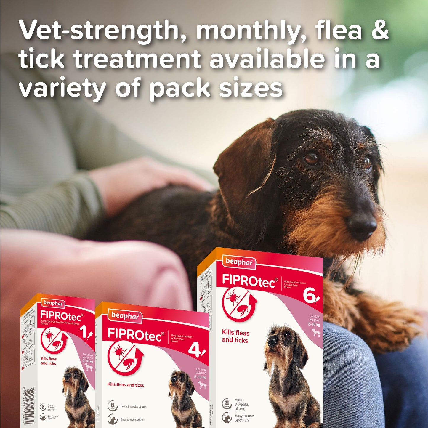 Beaphar FIPROtec Flea & Tick Spot-On Solution for Small Dogs (2-10kg)
