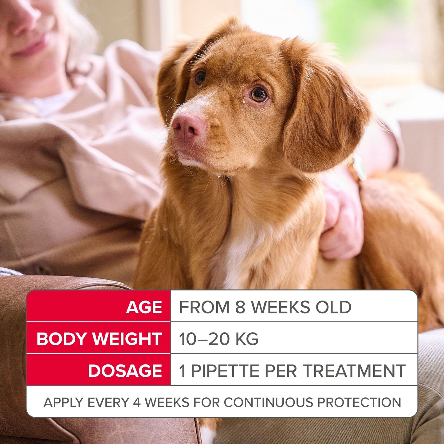 Beaphar FIPROtec Flea & Tick Spot-On Solution for Medium Dogs (10-20kg)