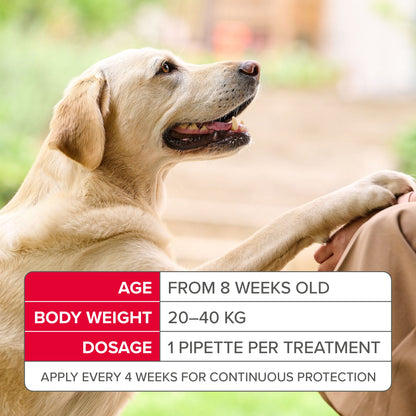 Beaphar FIPROtec Flea & Tick Spot-On Solution for Large Dogs (20-40kg)