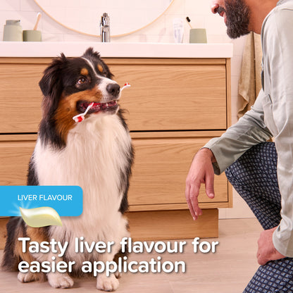 Beaphar Liver Flavour Toothgel for Dogs & Cats