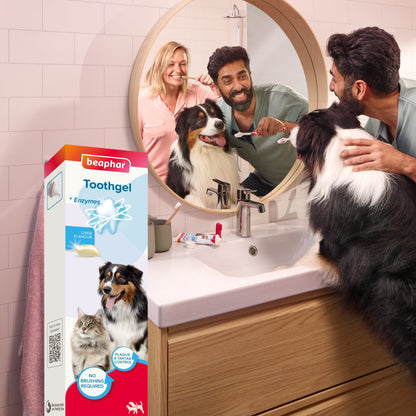 Beaphar Liver Flavour Toothgel for Dogs & Cats