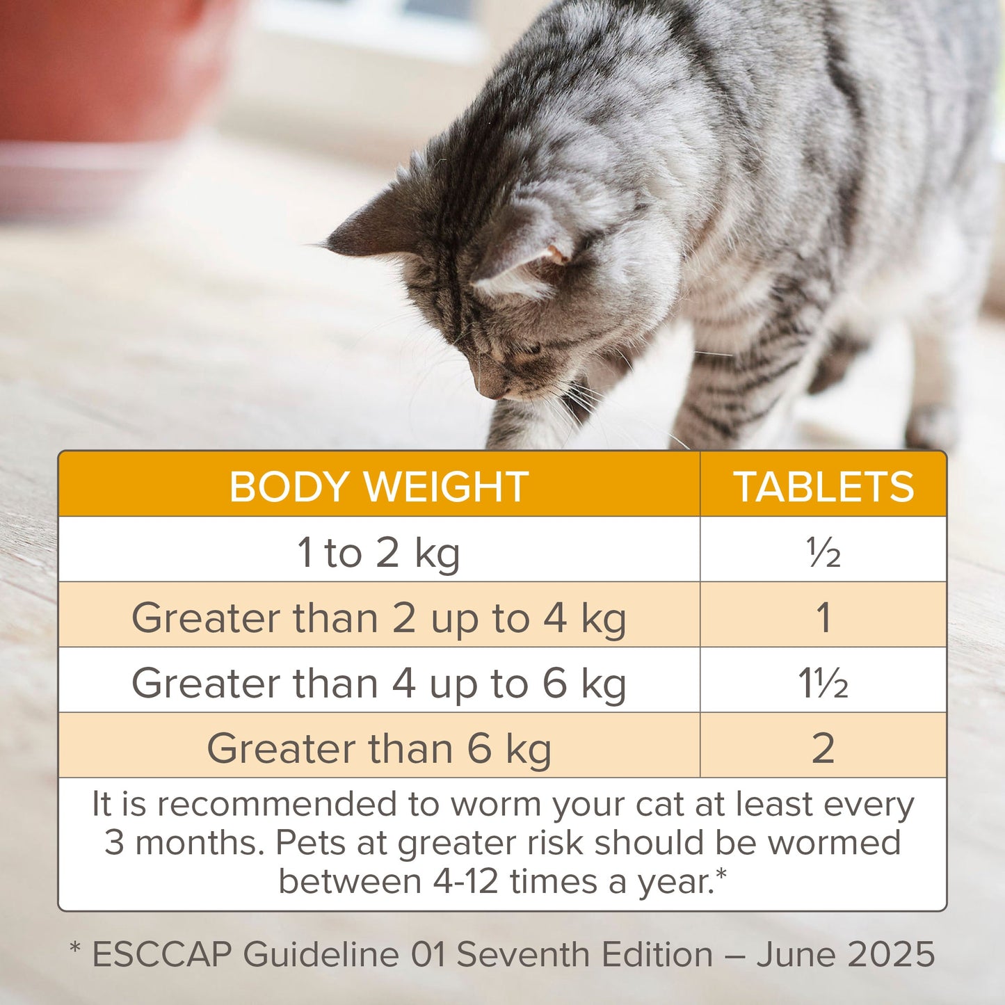 Beaphar WORMclear Tablets for Cats