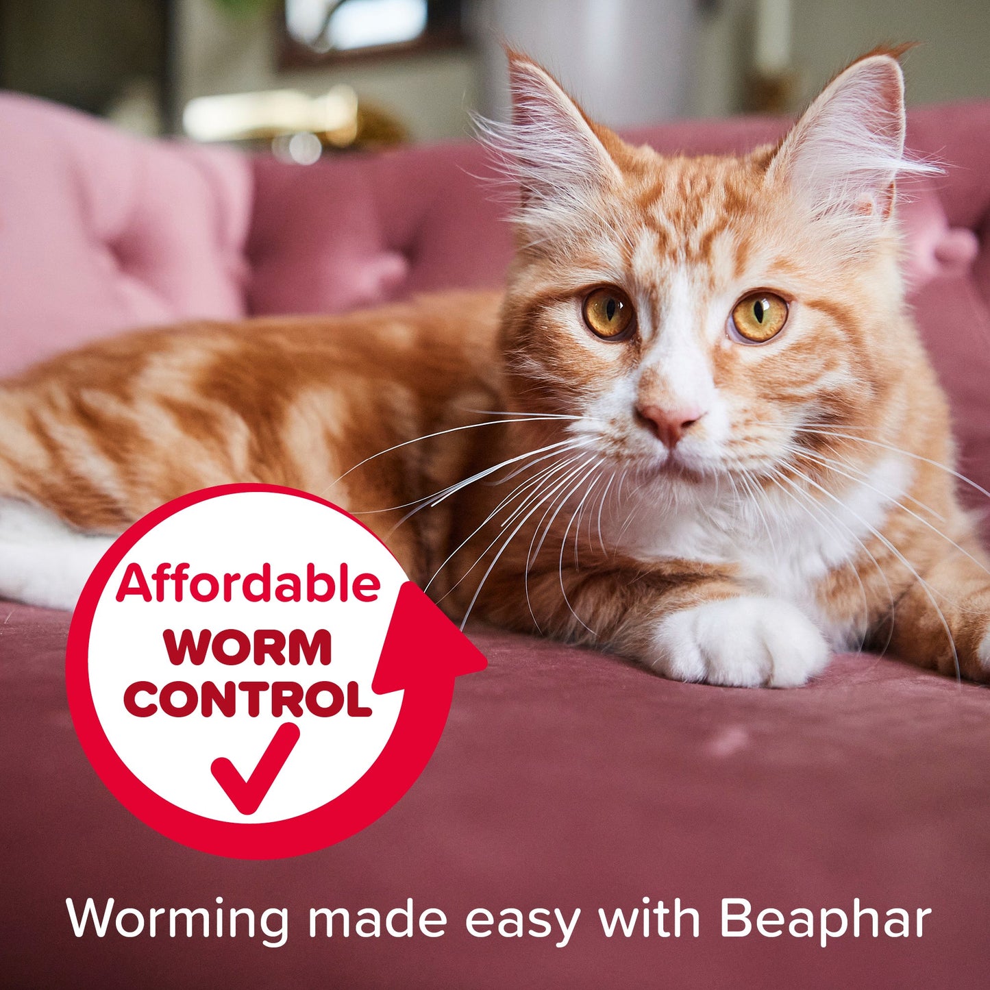 Beaphar WORMclear Tablets for Cats