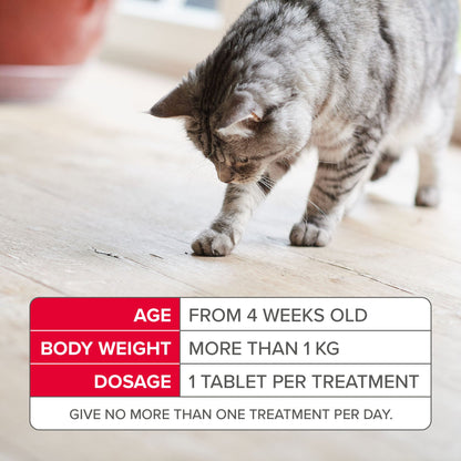 Beaphar Flea Tablets for Cats