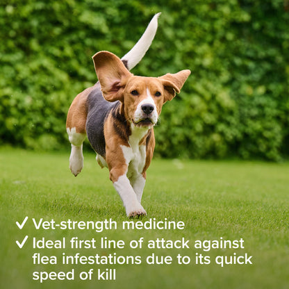 Beaphar Flea Tablets for Small Dogs (1-11kg)