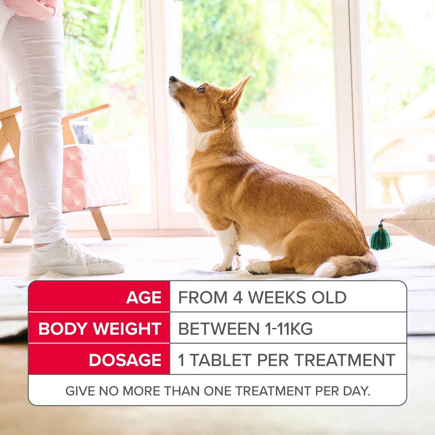 Beaphar Flea Tablets for Small Dogs (1-11kg)