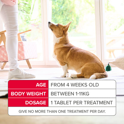 Beaphar Flea Tablets for Small Dogs (1-11kg)