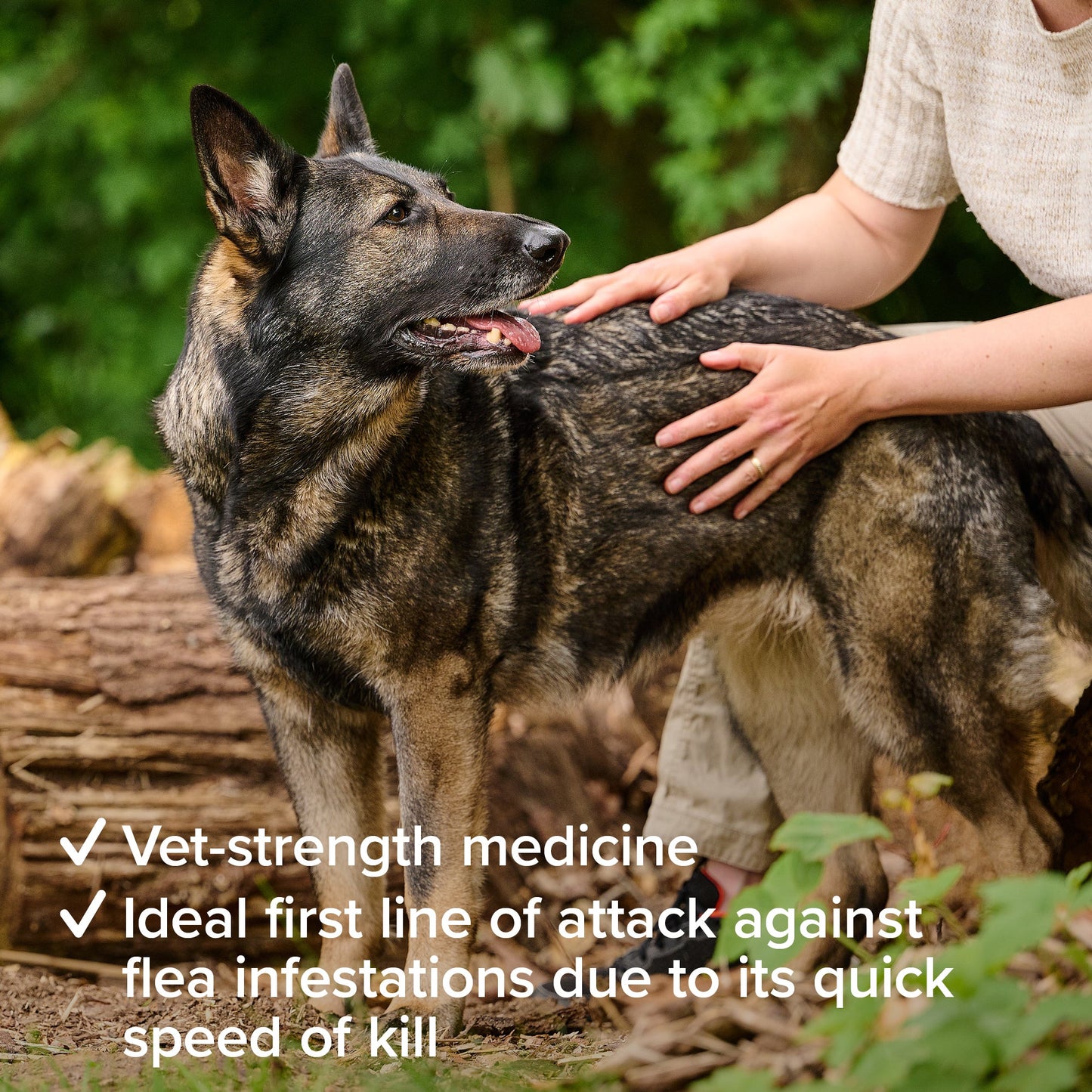 Beaphar Flea Tablets for Medium & Large Dogs (over 11kg)