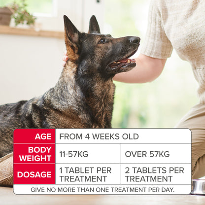 Beaphar Flea Tablets for Medium & Large Dogs (over 11kg)