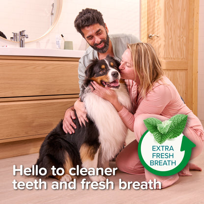 Beaphar Peppermint & Parsley Toothpaste for Dogs & Cats