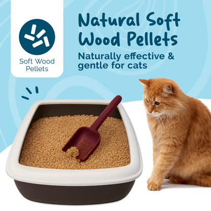 Petsentials Biodegradable Wood Based Pine Scent Cat Litter | 30L