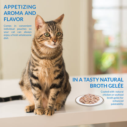 Ciao Twin Packs Cat Treat - Tuna & Chicken Recipe in Tuna Broth - 80 g