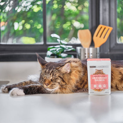 Real Simplicity Freeze Dried Single Protein Bites Wild Caught Tuna Adult Cat Treat