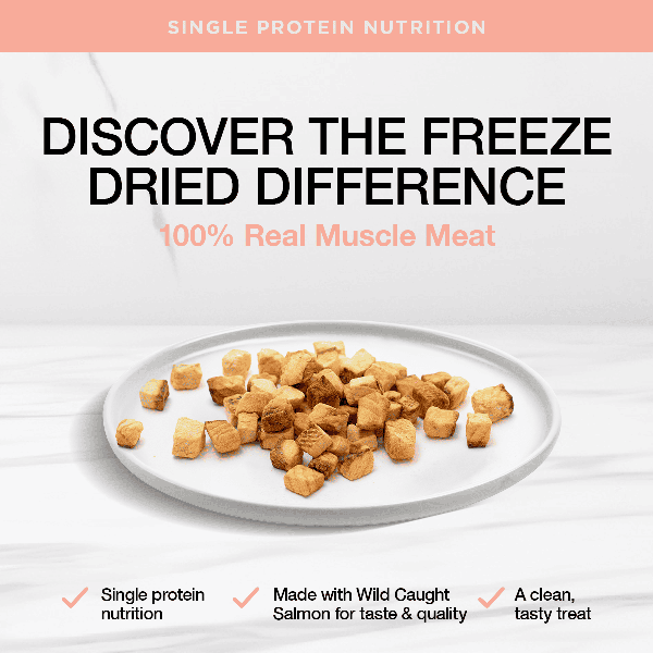 Real Simplicity Freeze Dried Single Protein Bites Wild Caught Salmon Adult Cat Treat
