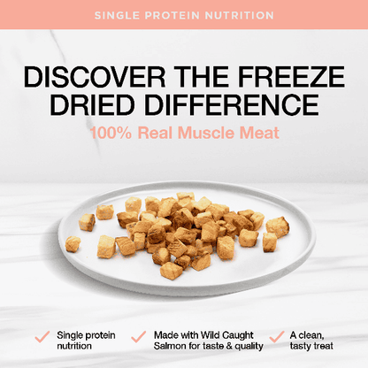 Real Simplicity Freeze Dried Single Protein Bites Wild Caught Salmon Adult Cat Treat