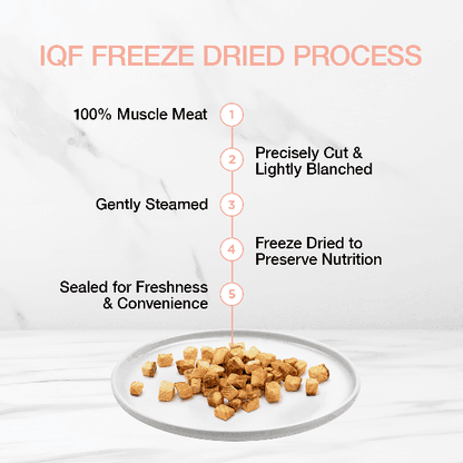 Real Simplicity Freeze Dried Single Protein Bites Wild Caught Salmon Adult Cat Treat