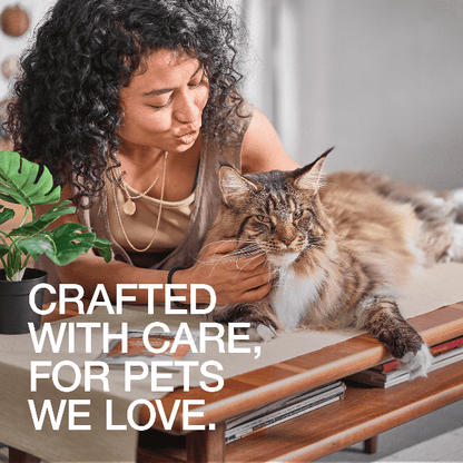 Real Simplicity Single Protein Pate Farm Raised Chicken Adult Wet Cat Food