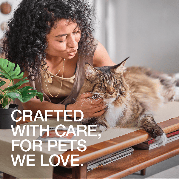 Real Simplicity Single Protein Pate Farm Raised Duck Adult Wet Cat Food