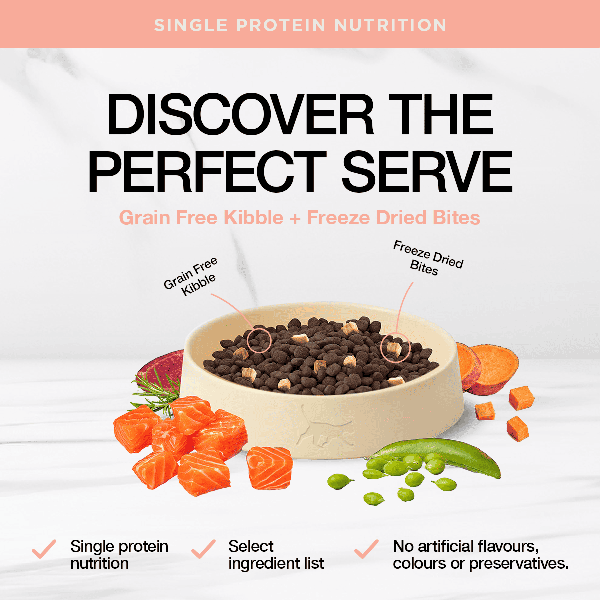 Real Simplicity Grain Free Kibble Wild Caught Salmon Adult Dry Cat Food