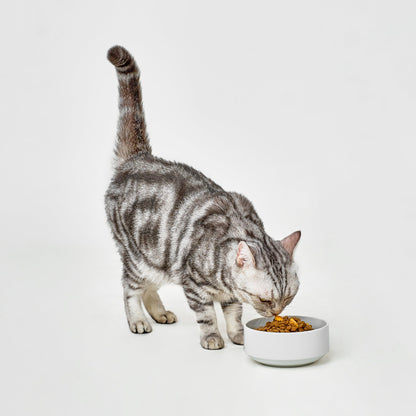 Real Simplicity Grain Free Kibble Wild Caught Salmon Adult Dry Cat Food