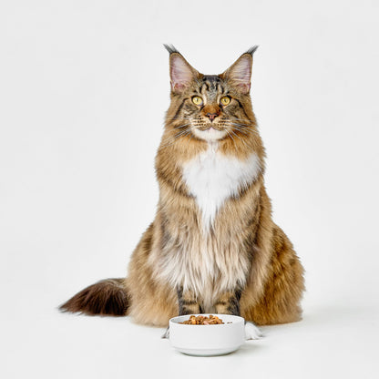 Real Simplicity Grain Free Kibble Wild Caught Tuna Adult Dry Cat Food