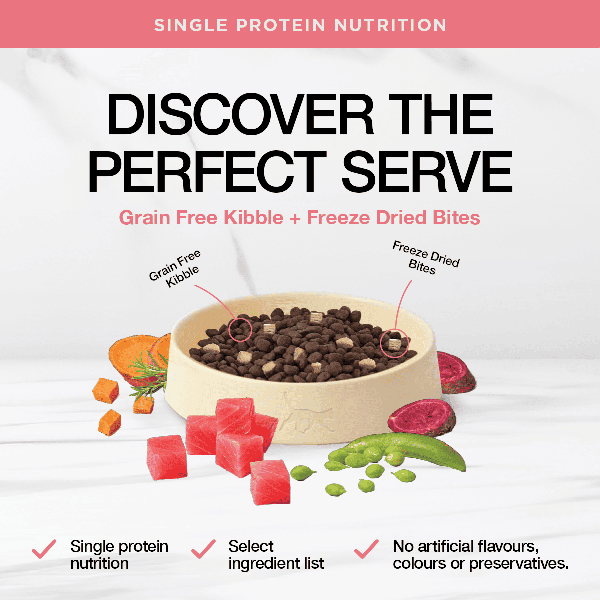 Real Simplicity Grain Free Kibble Wild Caught Tuna Adult Dry Cat Food