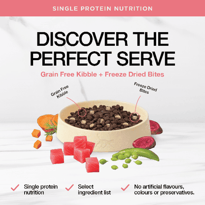 Real Simplicity Grain Free Kibble Wild Caught Tuna Adult Dry Cat Food