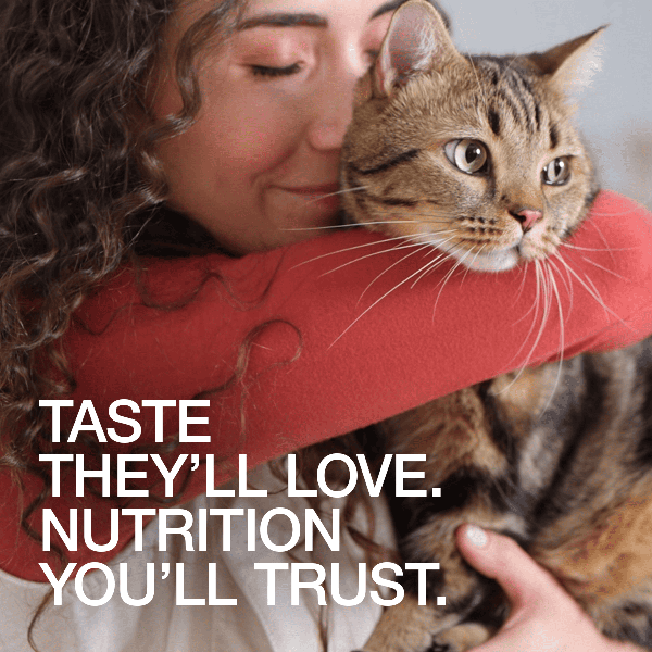 Real Simplicity Grain Free Kibble Wild Caught Tuna Adult Dry Cat Food