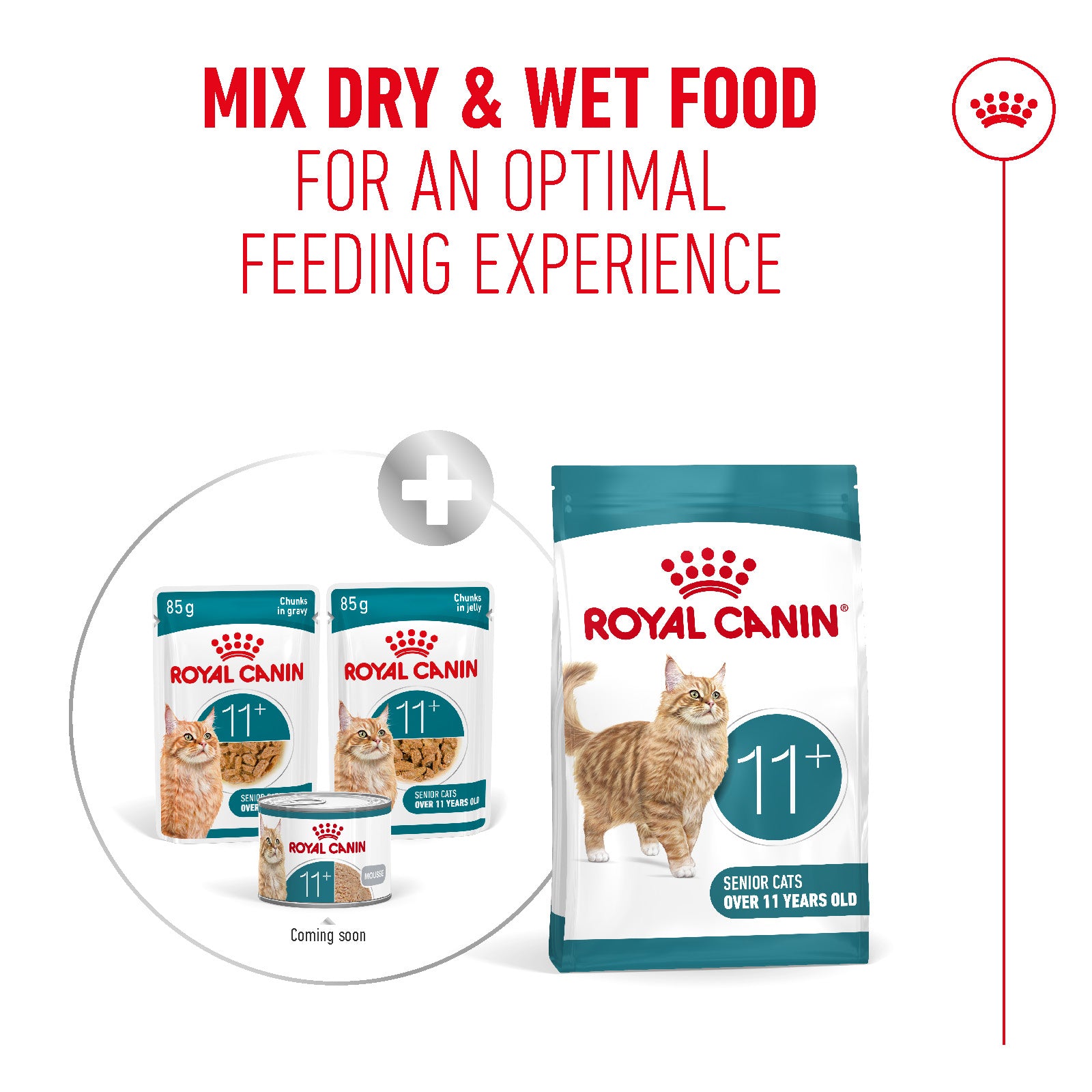 Royal Canin Ageing 11+ Senior Wet Cat Food Chunks In Jelly - 12 x 85g