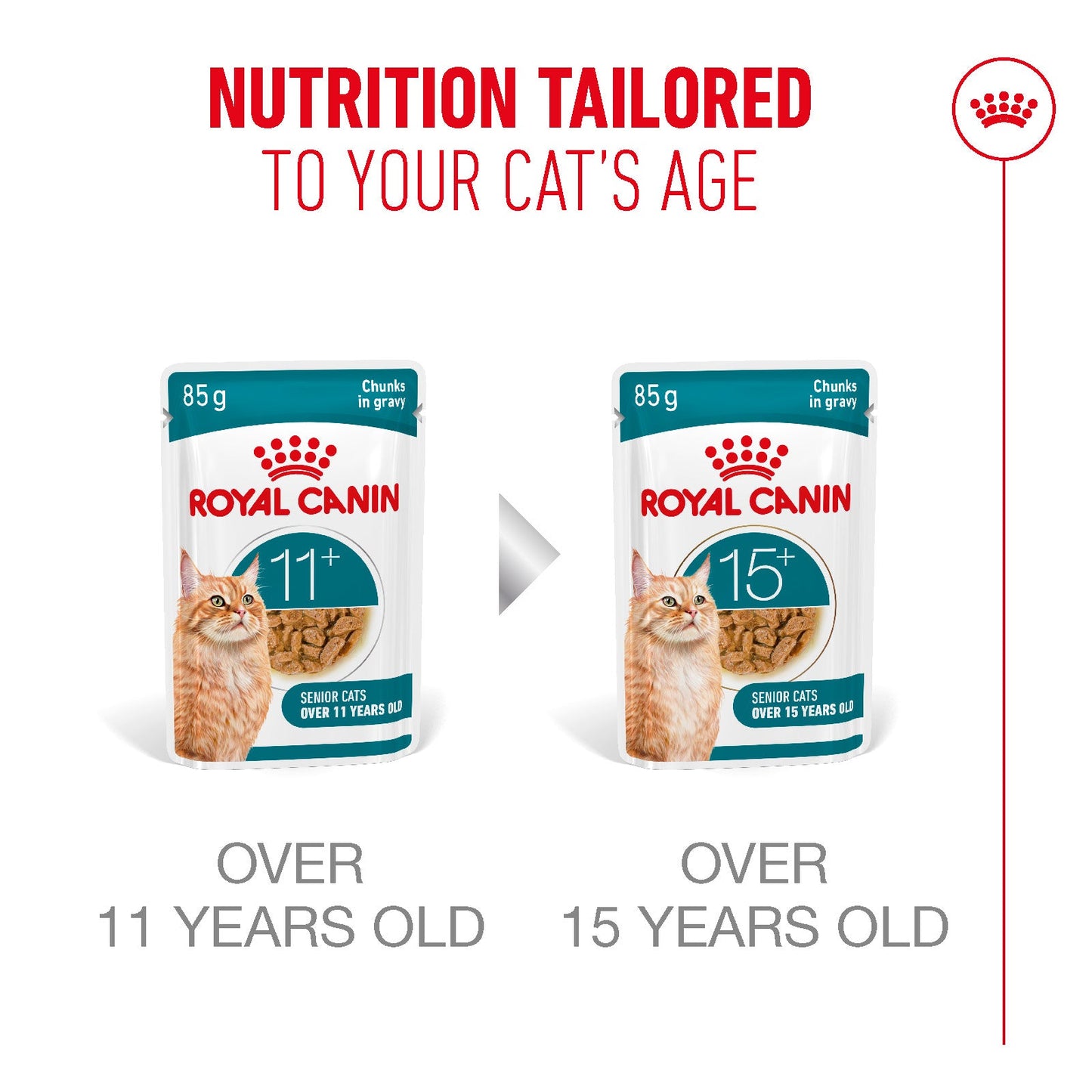 Royal Canin Ageing 11+ Senior Wet Cat Food Chunks In Gravy - 12 x 85g & 48 x 85g