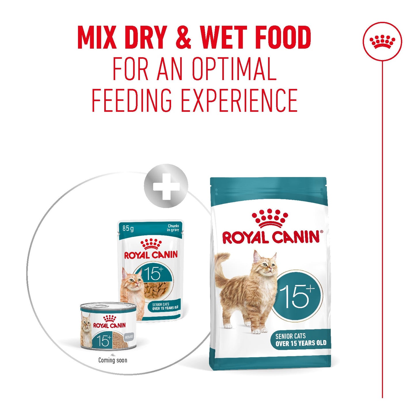 Royal Canin Ageing 15+ Senior Wet Cat Food Chunks In Gravy - 12 x 85g