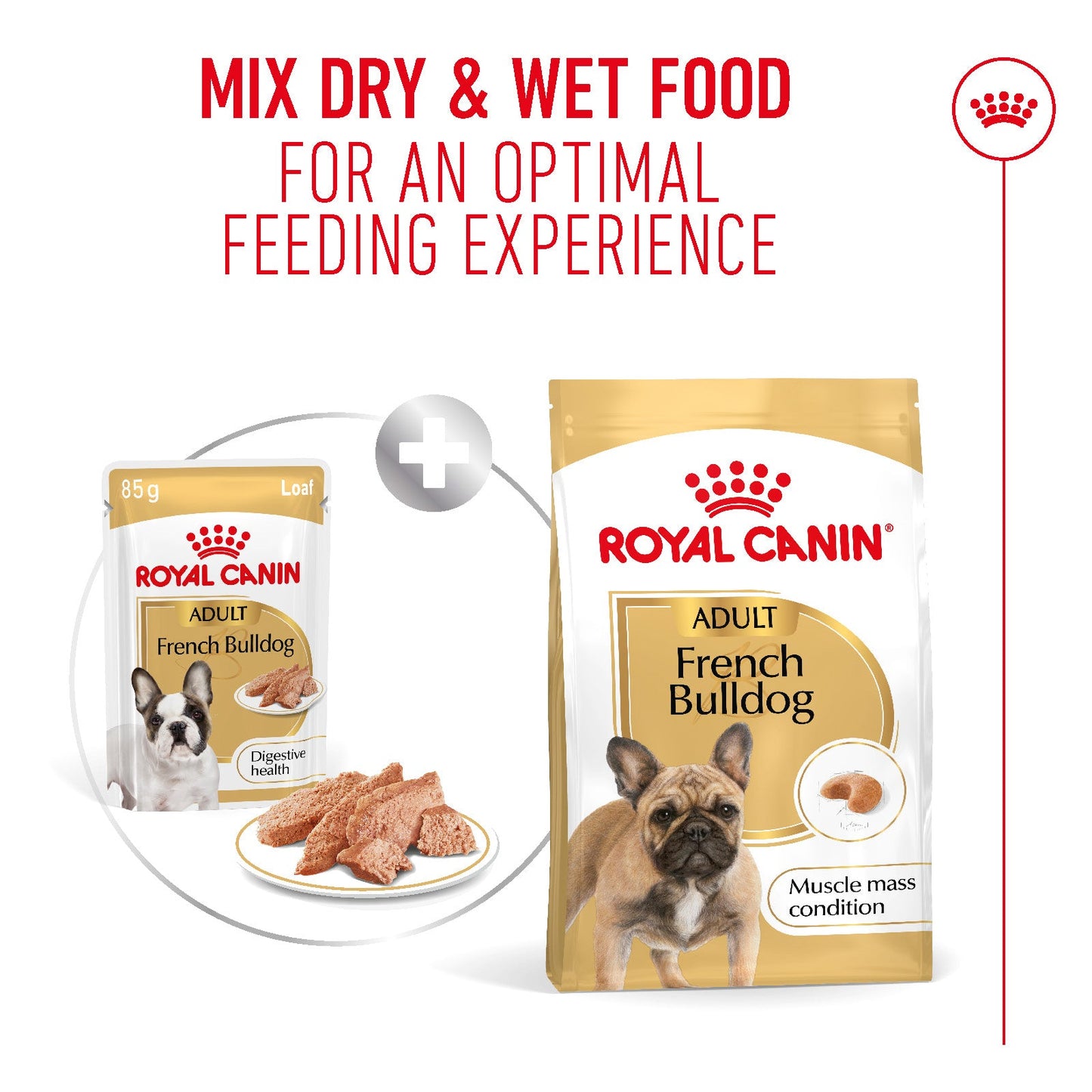 Royal Canin French Bulldog Adult Wet Dog Food