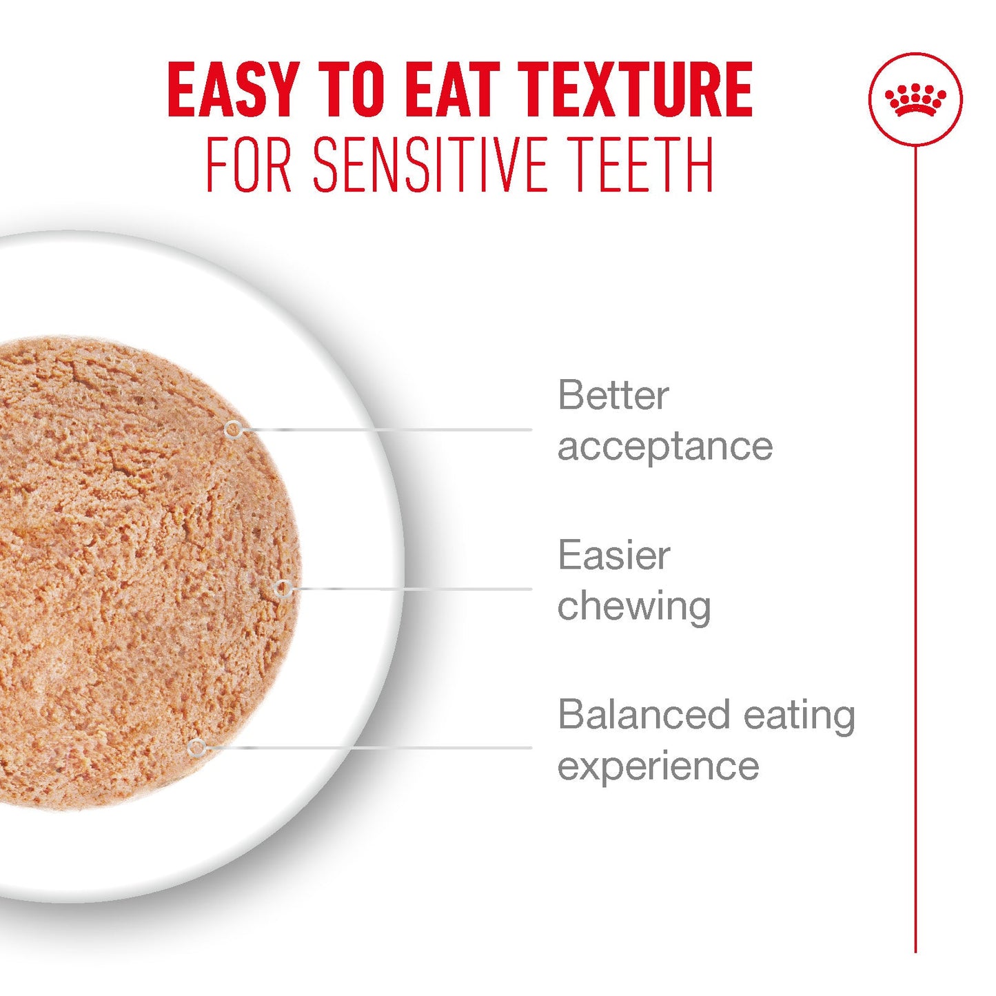 Royal Canin Ageing 15+ Senior Ultra Soft Mousse Can Wet Cat Food