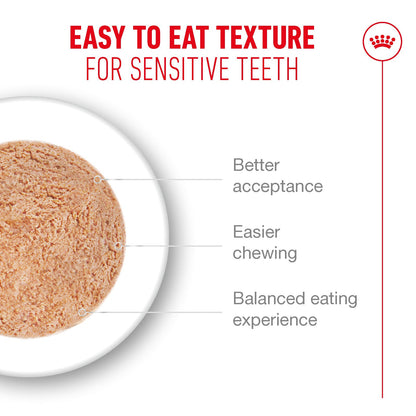 Royal Canin Ageing 15+ Senior Ultra Soft Mousse Can Wet Cat Food