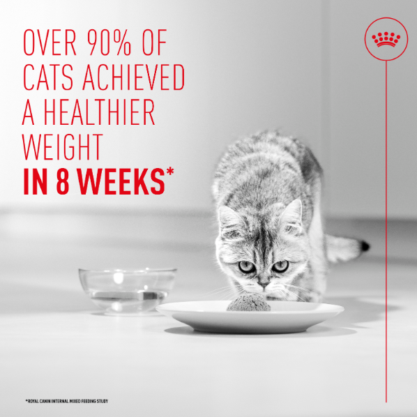 Royal Canin Light Weight Care Airlift Mousse Adult Wet Cat Food