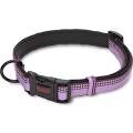 Halti Purple Dog Collar