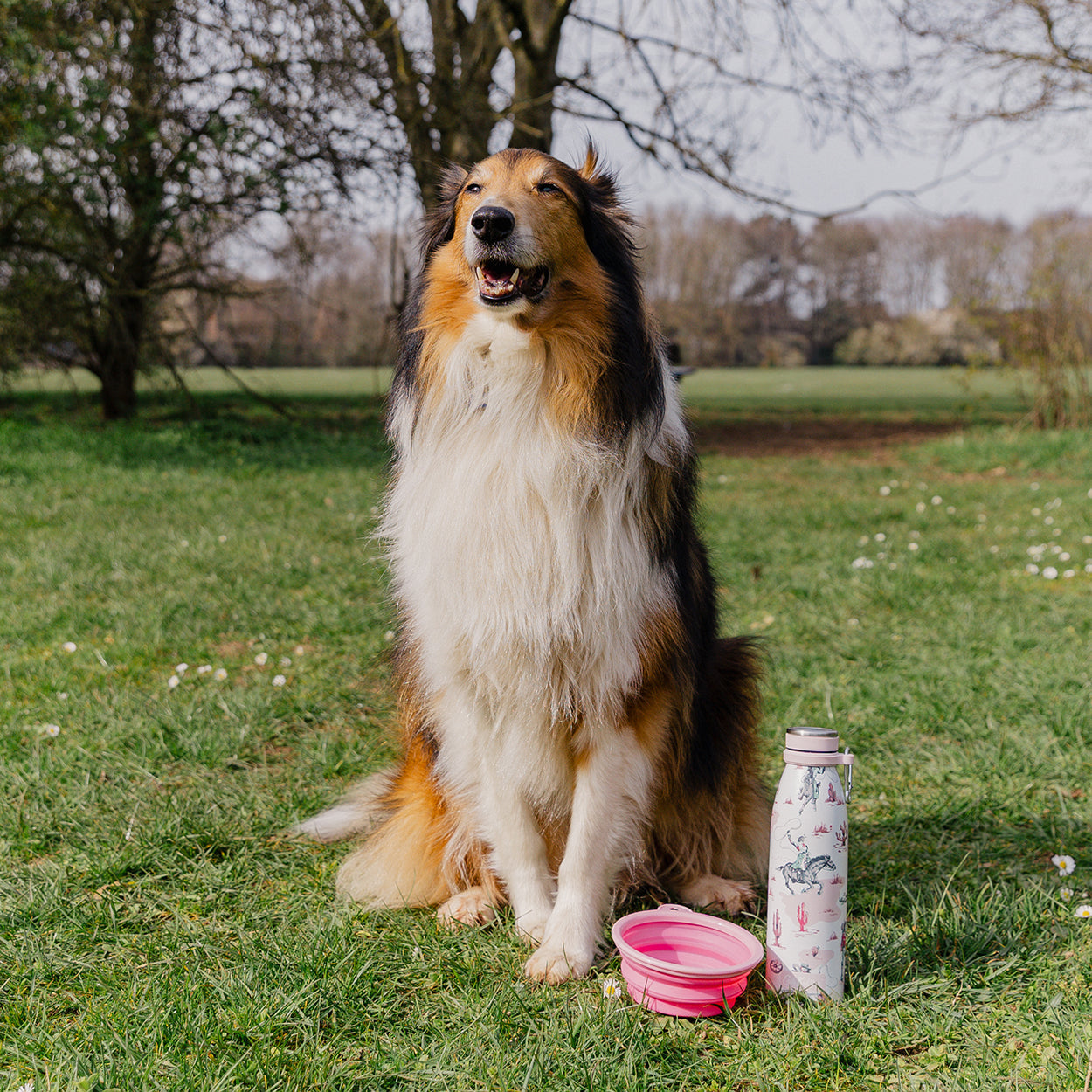 Cath Kidston Cowgirl Steel Water Bottle & Collapsible Bowl Set