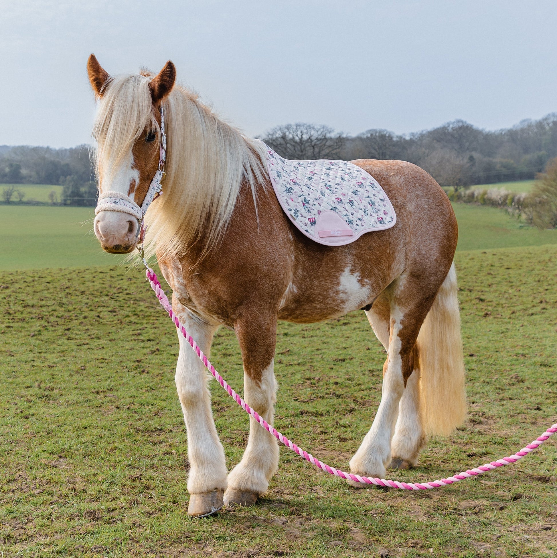 Cath Kidston Cowgirl Headcollar & Lead Rope Set