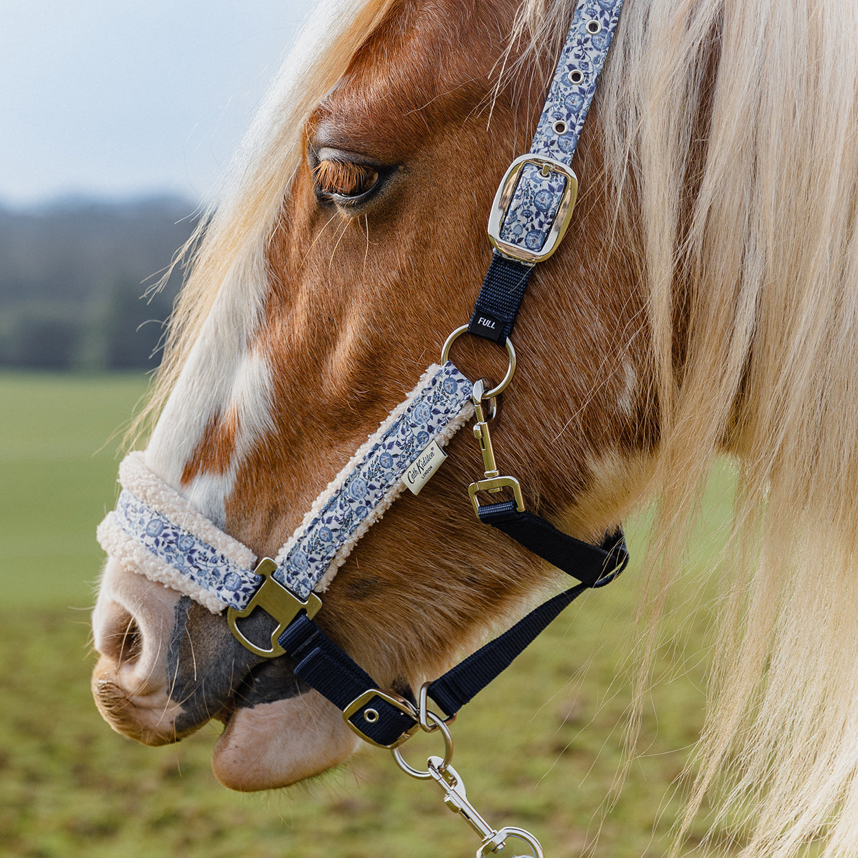 Cath Kidston Strawberry Garden Headcollar & Leadrope Set - image 3