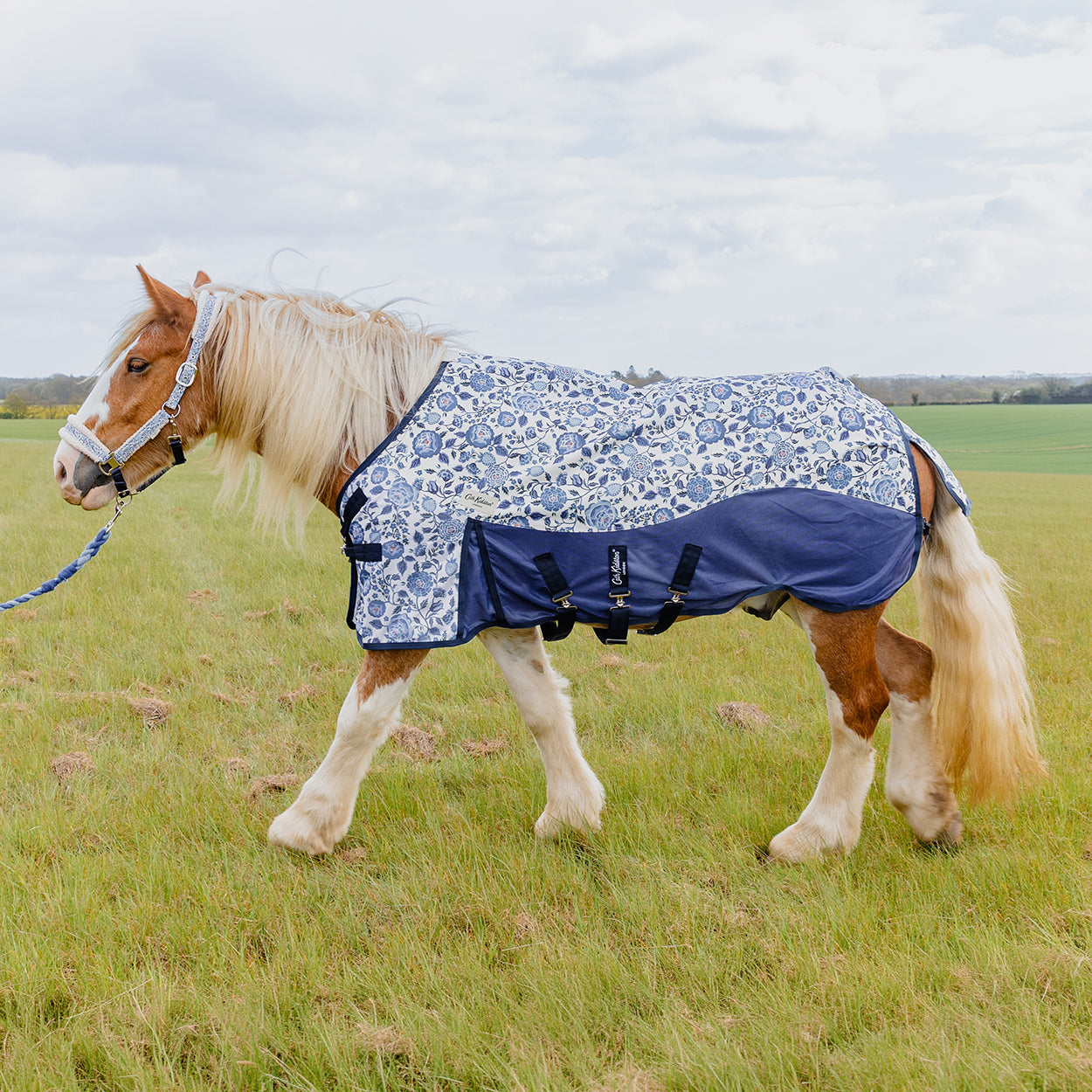 Cath Kidston Strawberry Garden Rain Sheet & Fly Rug Combo - image 2