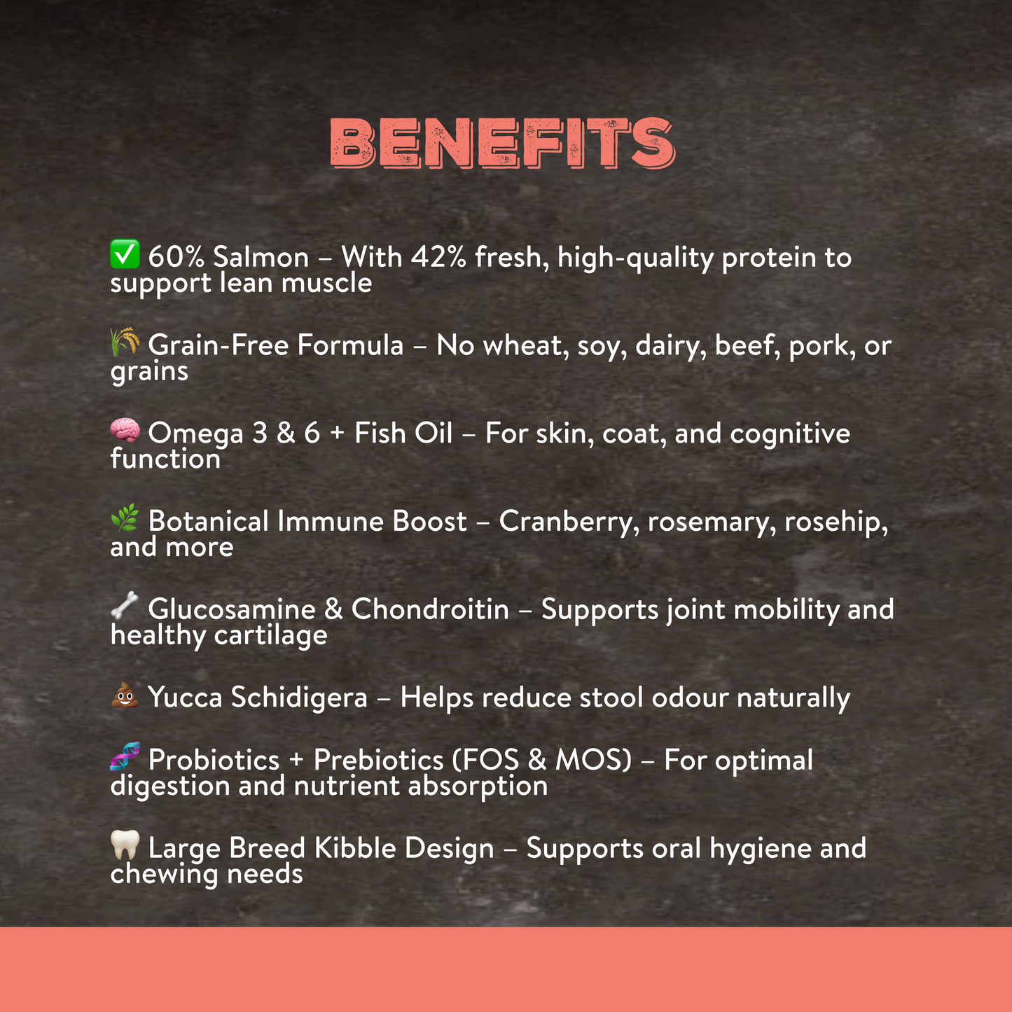 Canine Choice Super Premium Grain-Free Large Adult Dry Dog Food – Salmon | 12KG