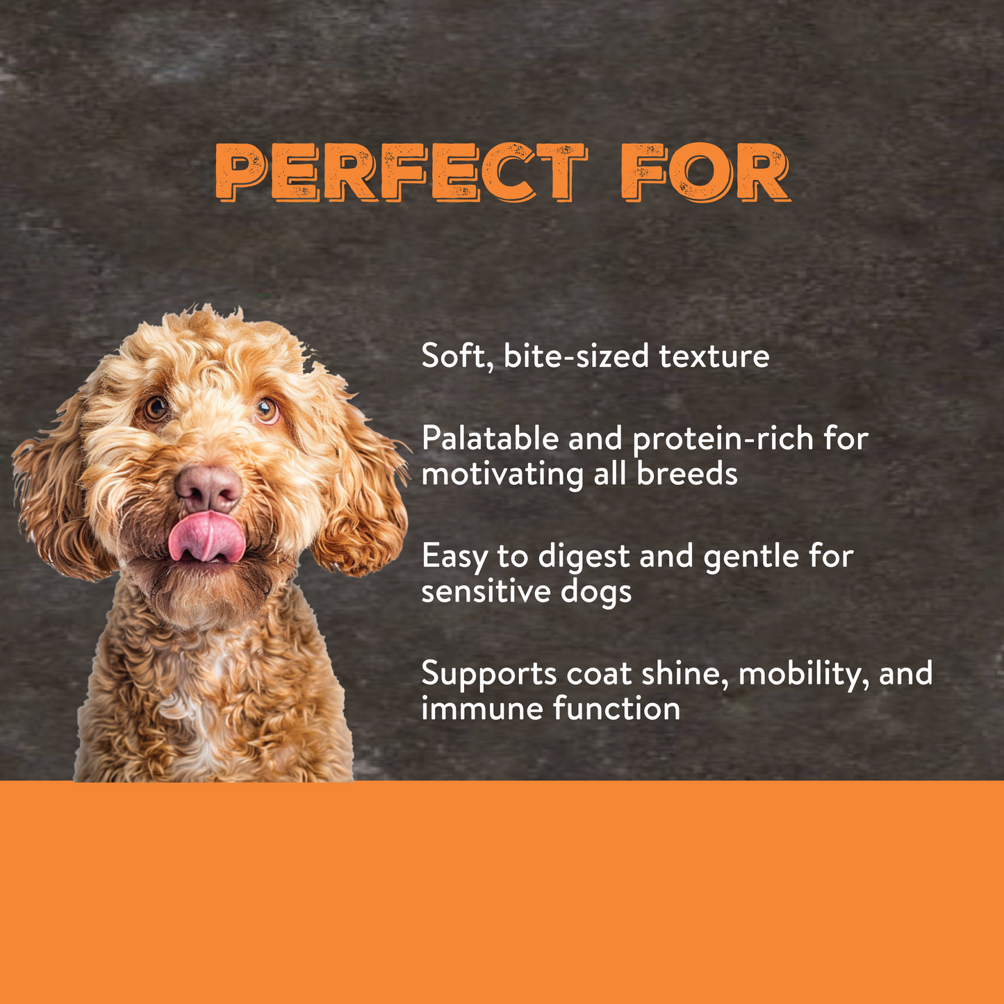 Canine Choice Training Dog Treats - Chicken & Salmon | 100g