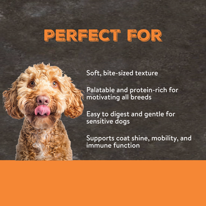 Canine Choice Training Dog Treats - Chicken & Salmon | 100g