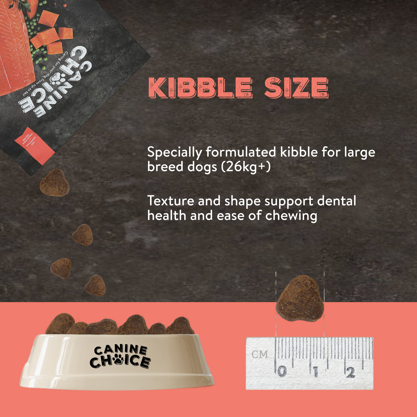 Canine Choice Super Premium Grain-Free Large Adult Dry Dog Food – Salmon | 12KG