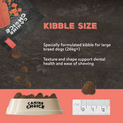 Canine Choice Super Premium Grain-Free Large Adult Dry Dog Food – Salmon | 12KG