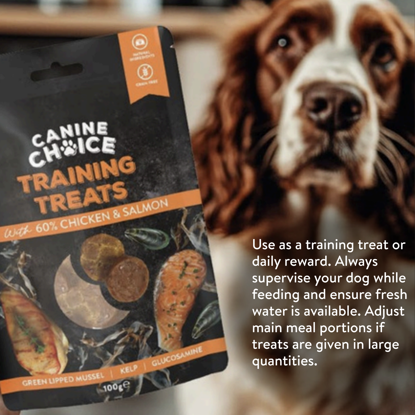 Canine Choice Training Dog Treats - Chicken & Salmon | 100g