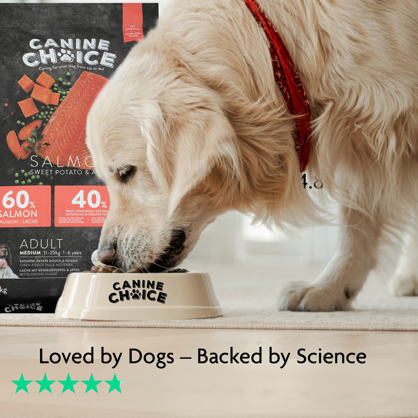 Canine Choice Super Premium Grain-Free Large Adult Dry Dog Food – Salmon | 12KG