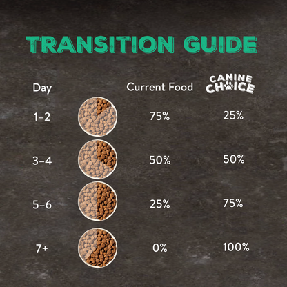 Canine Choice Super Premium Grain-Free Large Adult Dry Dog Food – Lamb | 12KG