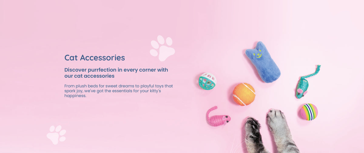 Cat Web Store Cat Offers - Special Discounts on Cat Products | MedicAnimal
