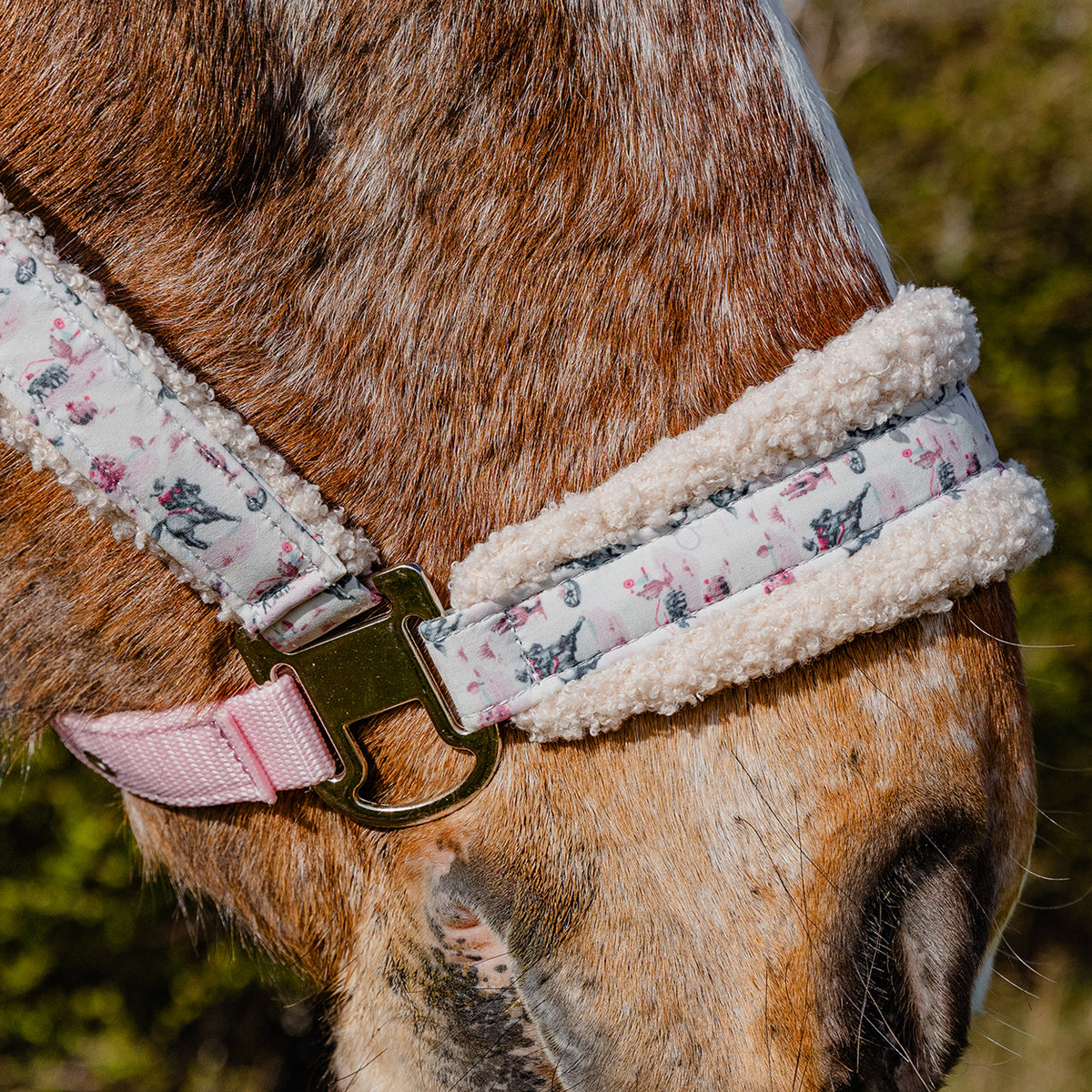 Cath Kidston Equestrian Cowgirl Headcollar & Lead Rope Set
